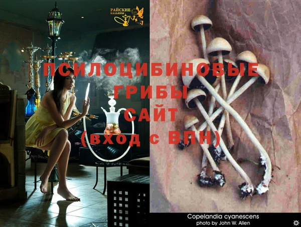твердый Баксан